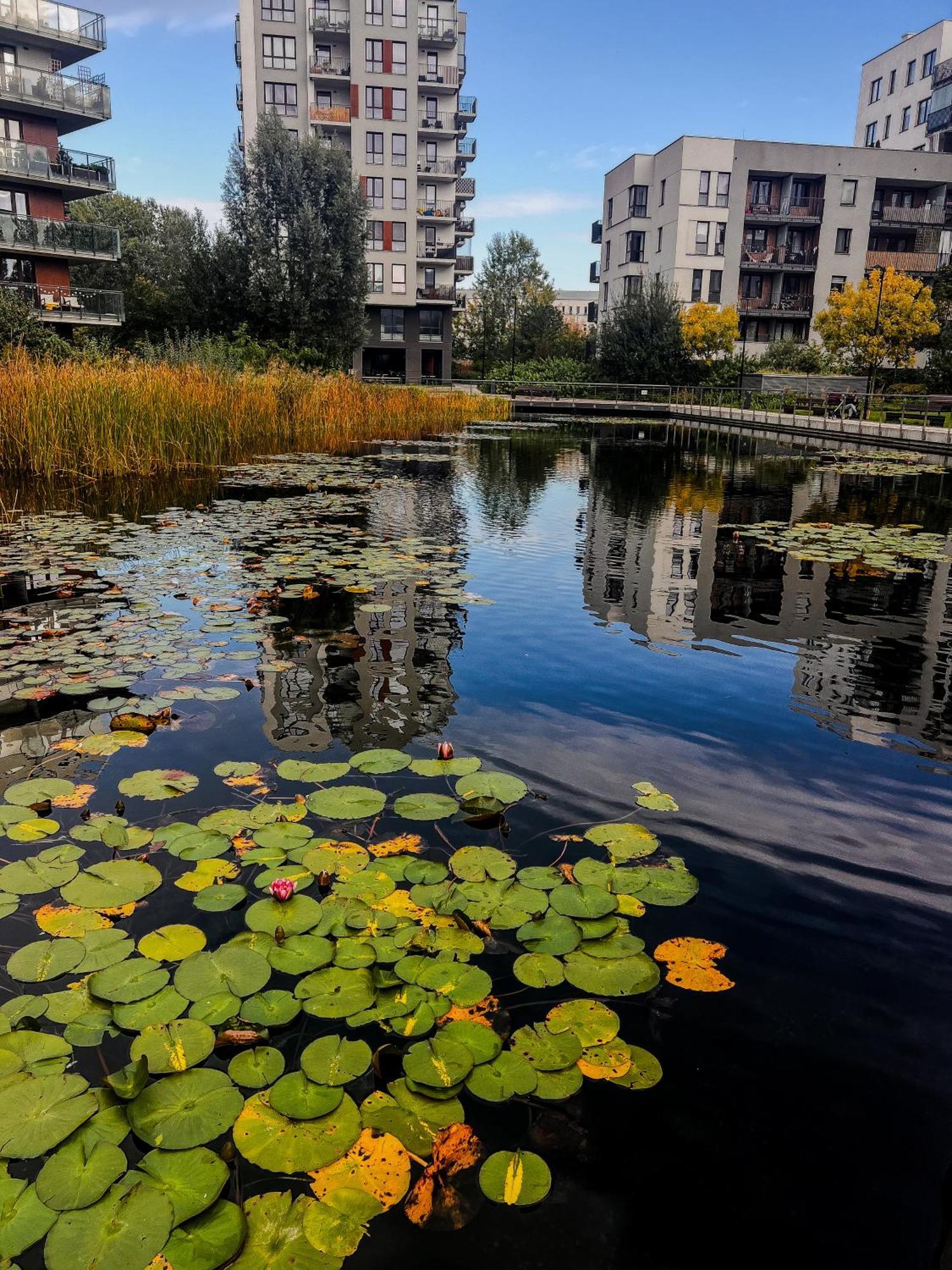 Lake Park Apartament With Free Parking Airport Netflix Apartment Varşovia Exterior foto